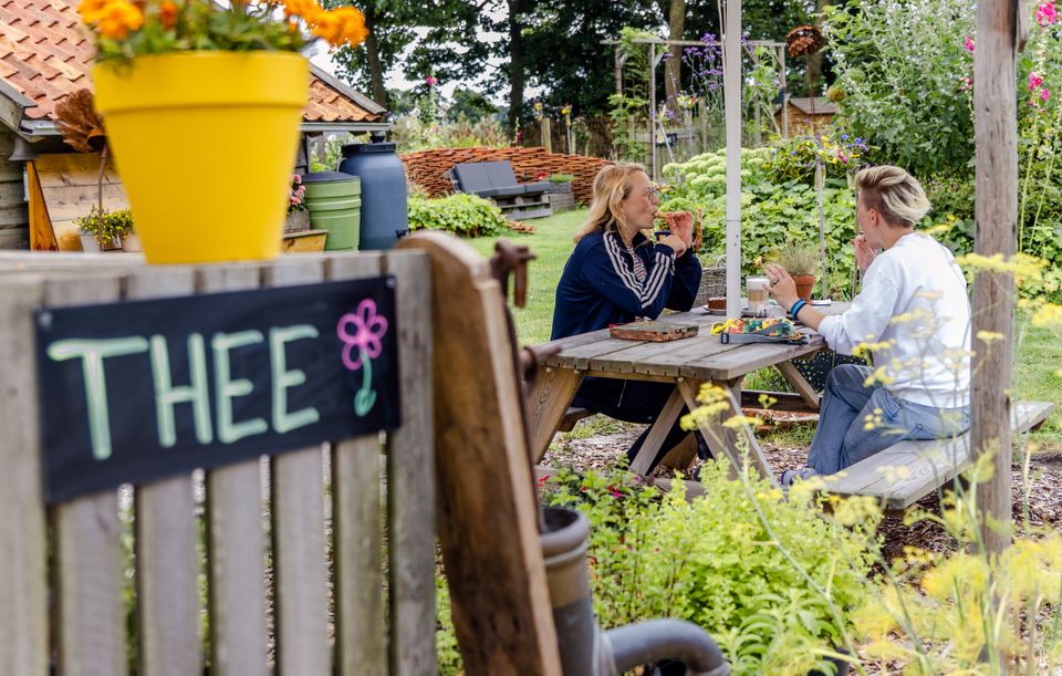 Geniet van verse thee uit eigen tuin op Anne-Famkes Pleats