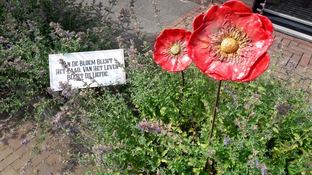 Kunsttuin Toon Kortooms Park Deurne - Bloemen
