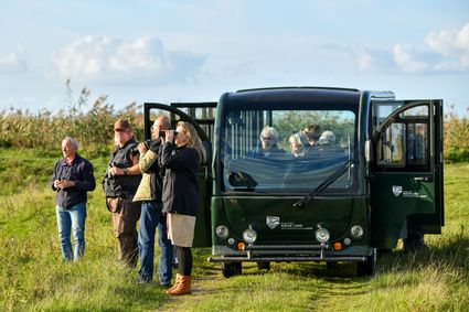 Ecokar excursie Oostvaardersplassen Almere