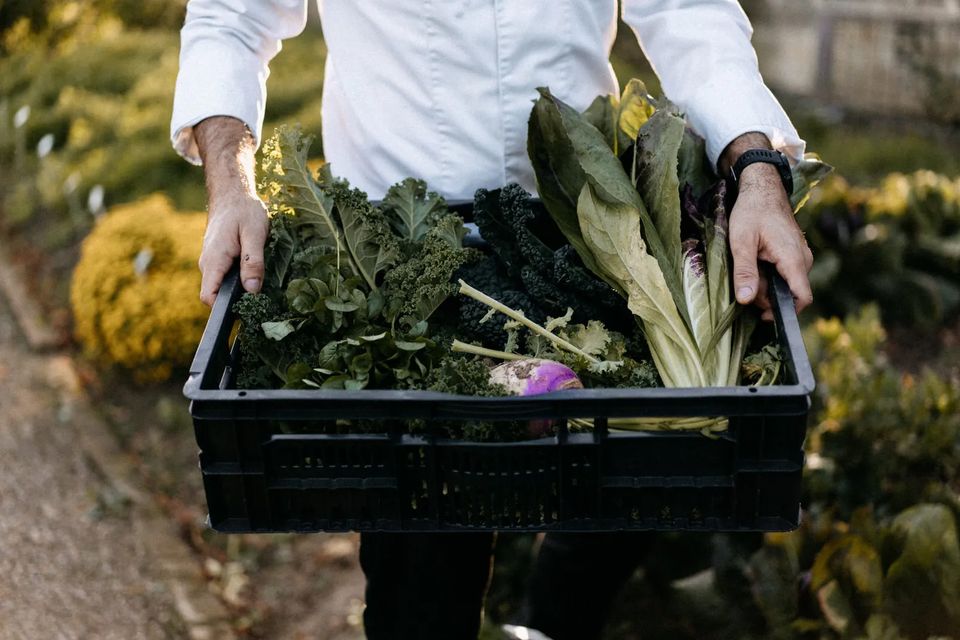 Groenten Maastricht Heuvelland Culinair