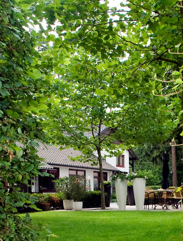 Witte gevel van het hotel met een groen grasveld en omringd met bomen. Terras met witte plantenpotten.