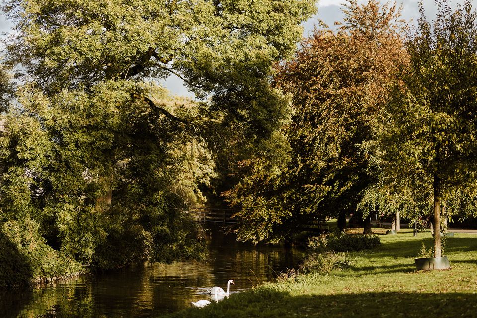 Stadspark Maastricht in de herfst zwanen in het water