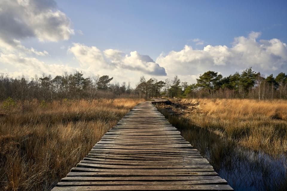 Nationaal Park De Groote Peel