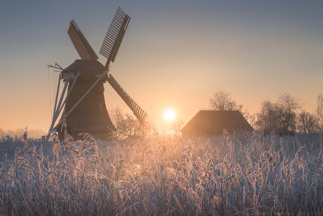 Een adembenemend wintertafereel waarin de opkomende zon de molen en het met rijp bedekte riet in een warme, gouden gloed zet. De stilte van het landschap, gecombineerd met de zachte kleuren van de ochtend, creëert een sprookjesachtige sfeer die de winterpracht van het Groene Hart perfect vangt.