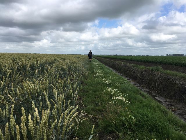 Langs de oevers is het goed wandelen met steeds vogels die onder mooie wolkenluchten af en aan vliegen.