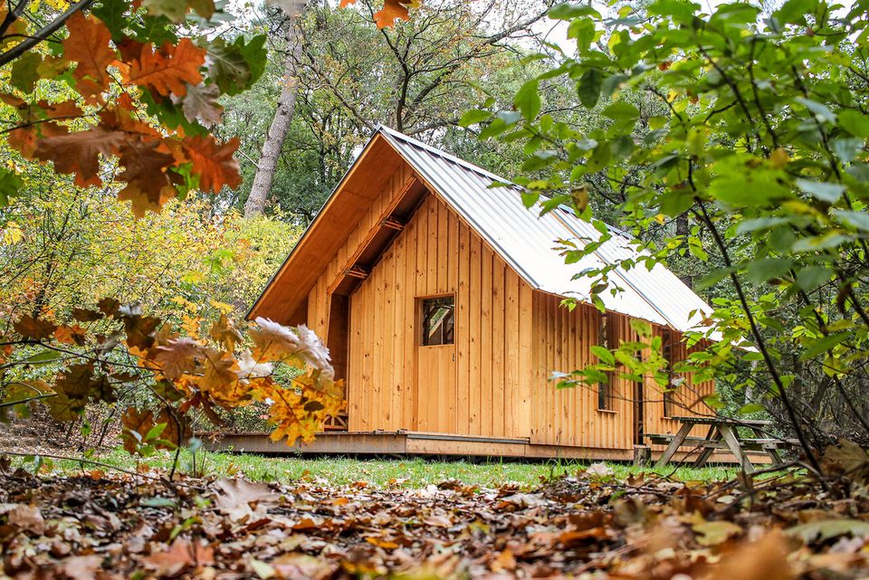 Charme Camping Hartje Groen