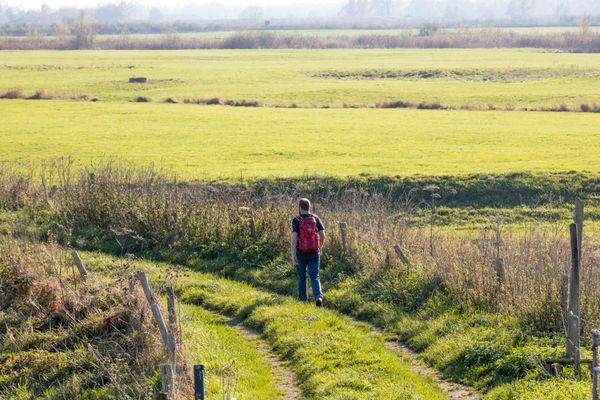 Wandelaar weide Pannerden