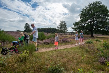 Een gezin met een kind in een rolstoel wandelt door de Drentse natuur.