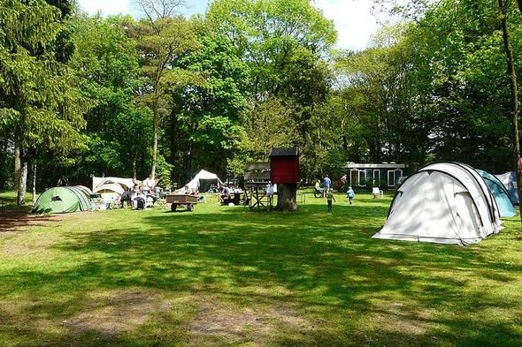 Groen grasveld omzoomt met bomen waaronder diverse tenten staan.