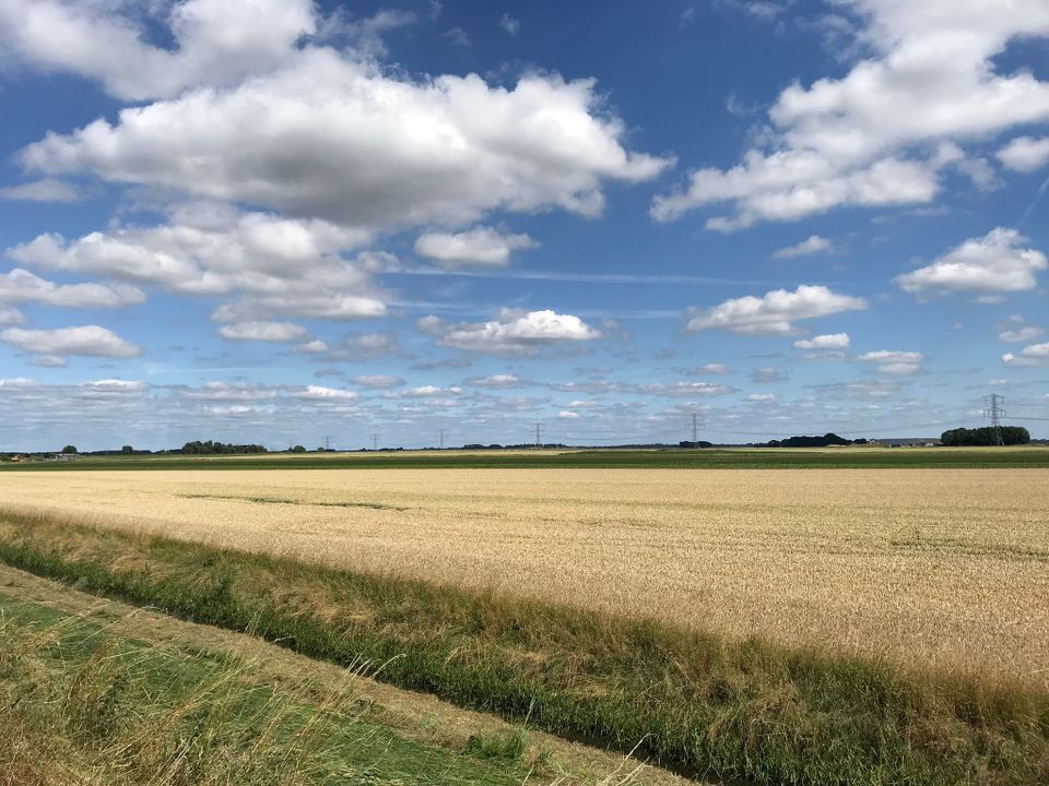 Natuur nabij 'De Winsel'