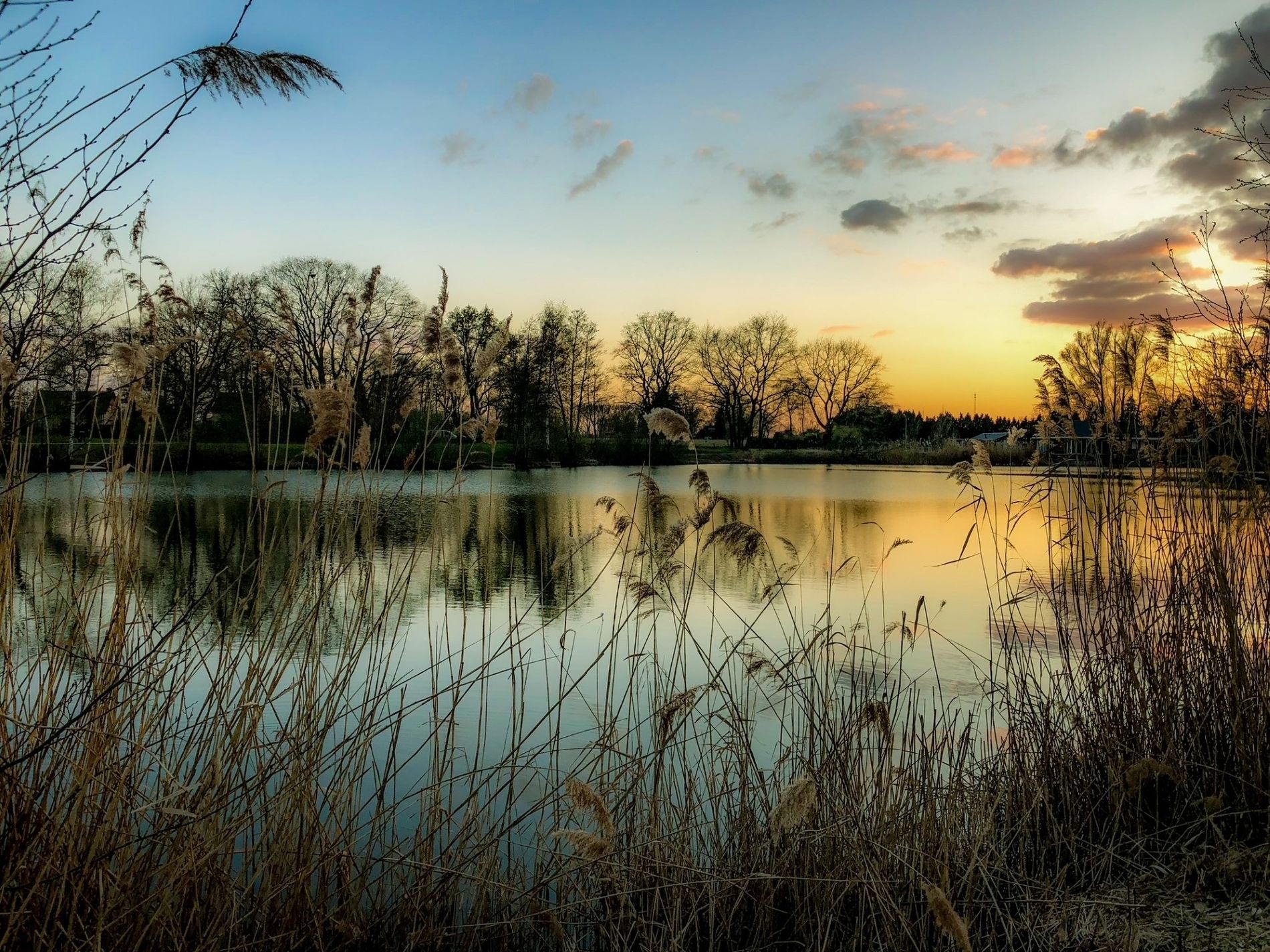 Fotoclub Optika - 50 jaar