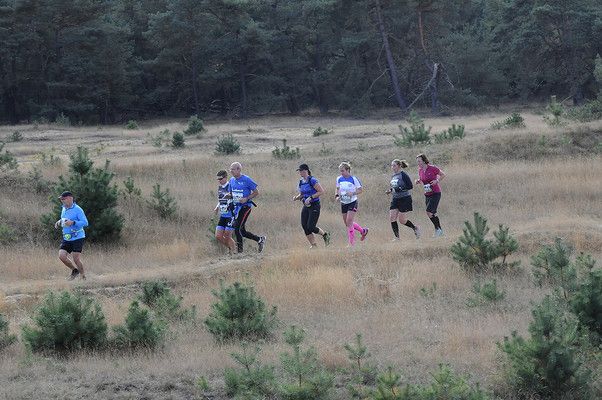 Hardlopers over de Hoge Veluwe