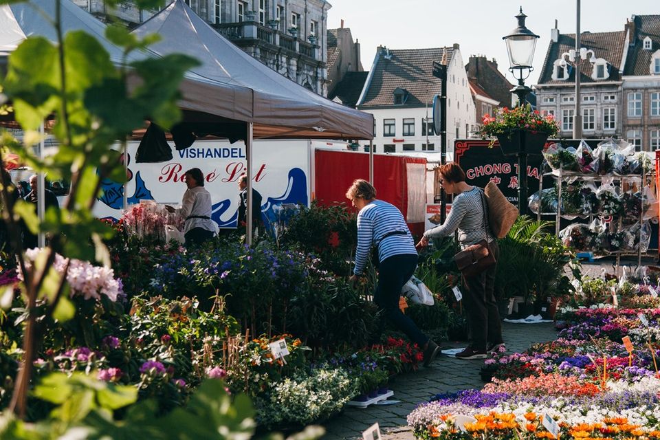 Markt Maastricht vrijdagmarkt bloemenkraam