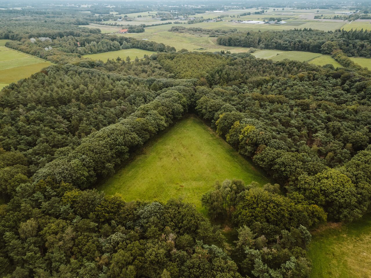 Sterrebos