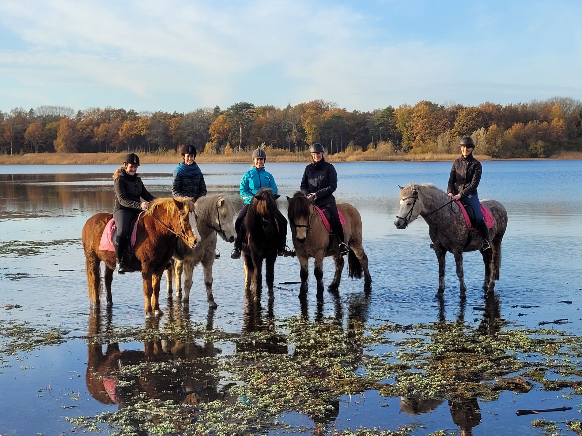 Heerlijke buitenrit te paard