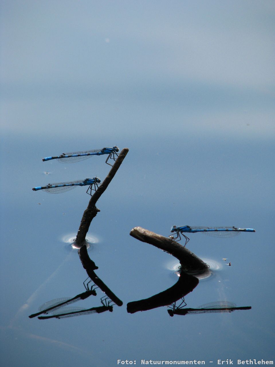 Ontdek de kleine wereld rond het bezoekerscentrum