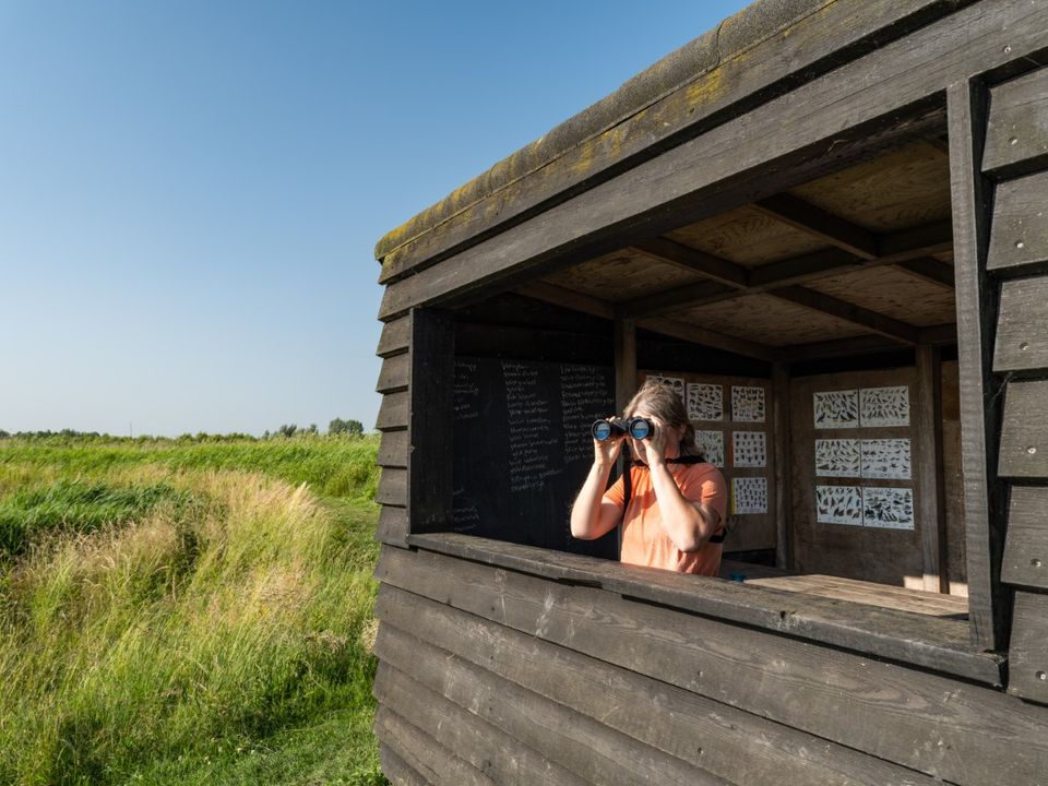 Vogelkijkhut in de Zouweboezem