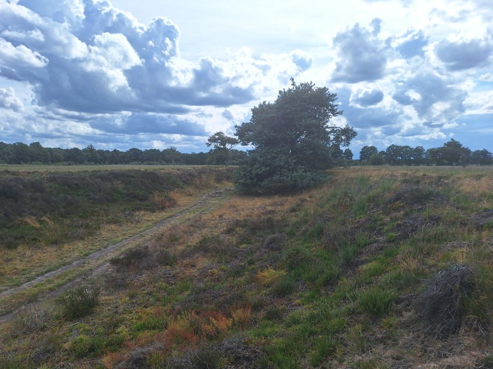 Groot rondje Bakkeveense duinen