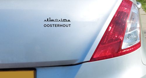 Lichtgrijze auto achterkant met sticker