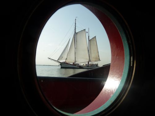 Zeilvloot op zee