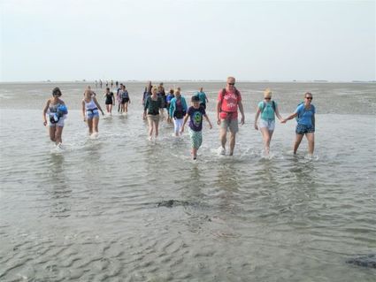 wadlopen met je water tot aan je middel in Noordoost Friesland