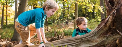Twee kinderen spelen in de bossen bij een boom