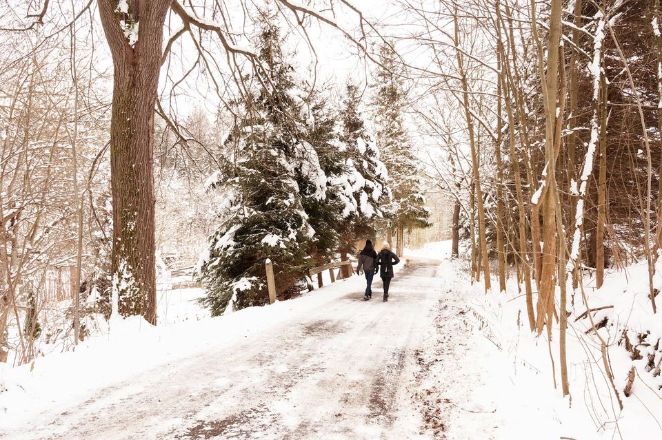 Winterwandeling Schoonrewoerd