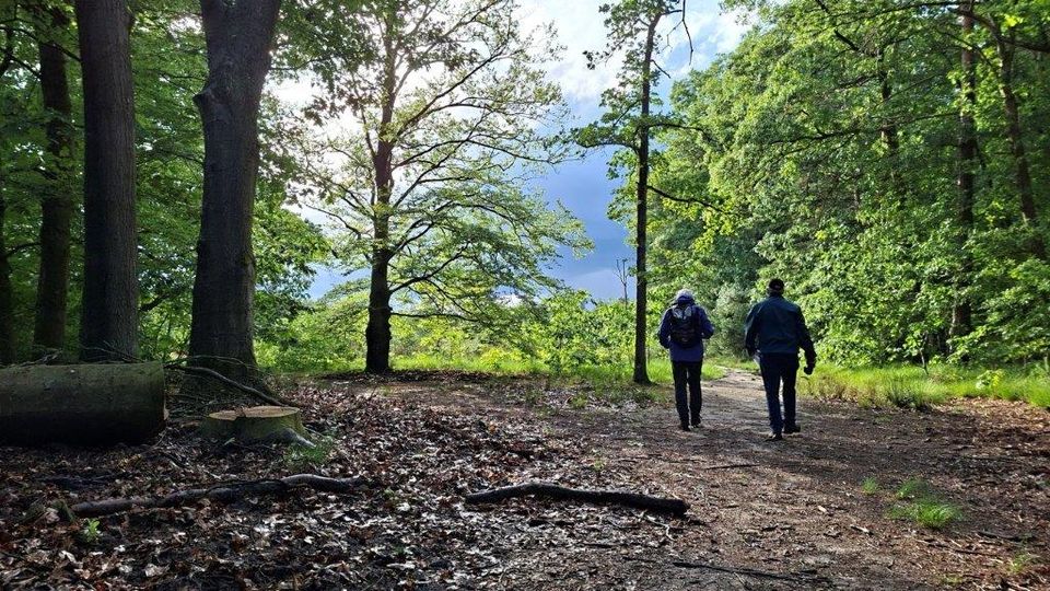Wandelen nabij Valkenswaard