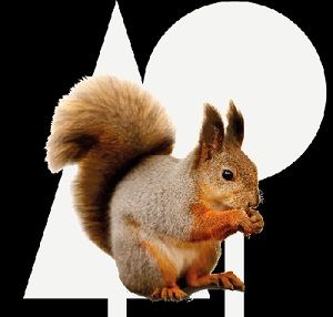De zoogdieren van de Pannenhoef