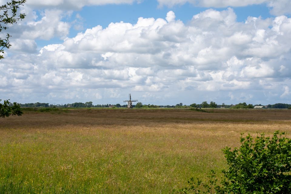 De Mist van de Friese Middeleeuwen