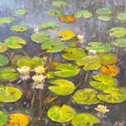 Waterlelies, door Adriane Wolters