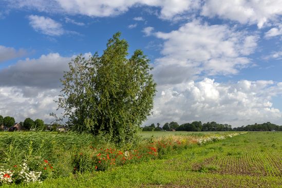 Boerenlandpad