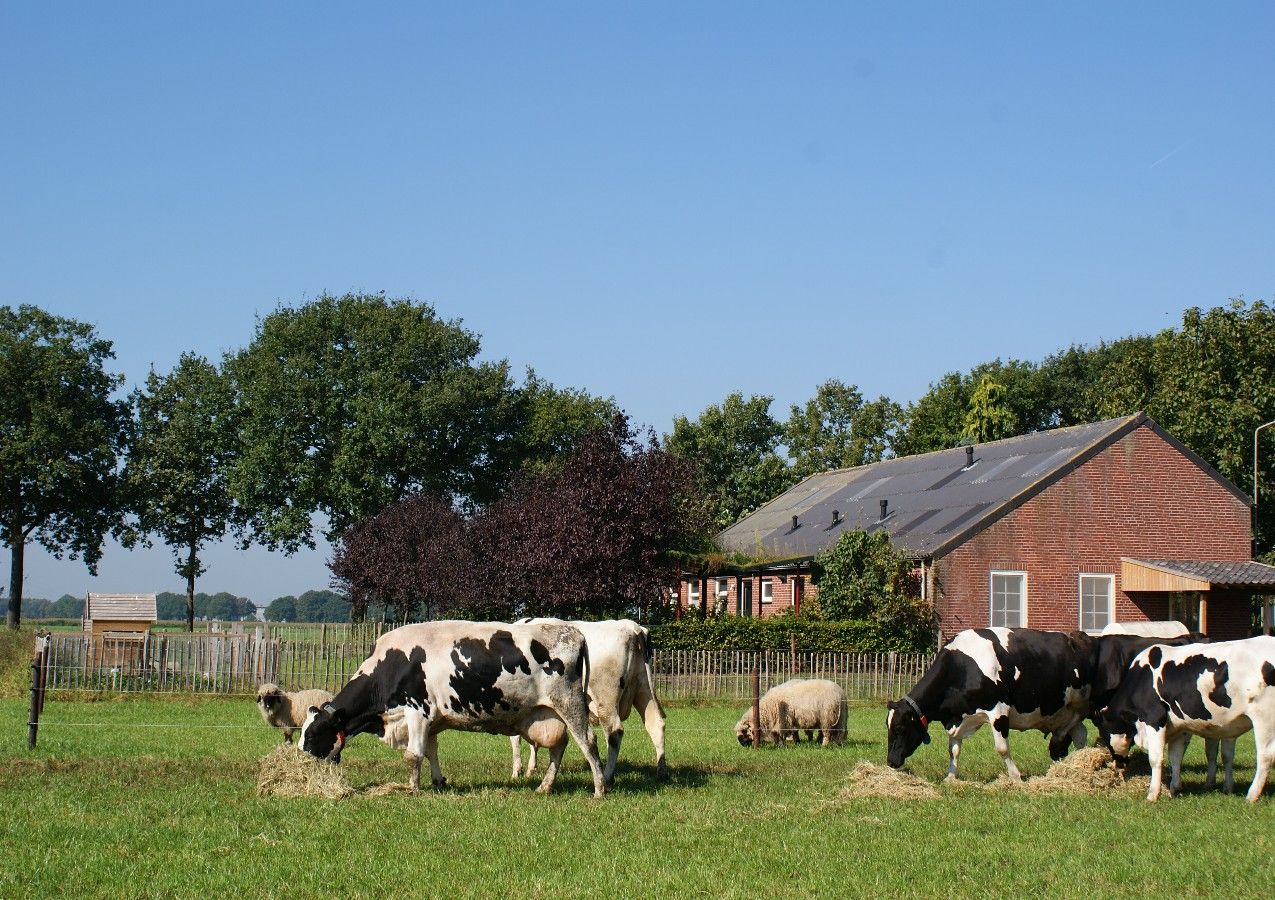 Brabants Kwartierke Ländliches Ferienhaus für bis zu 18 Personen Vlierden