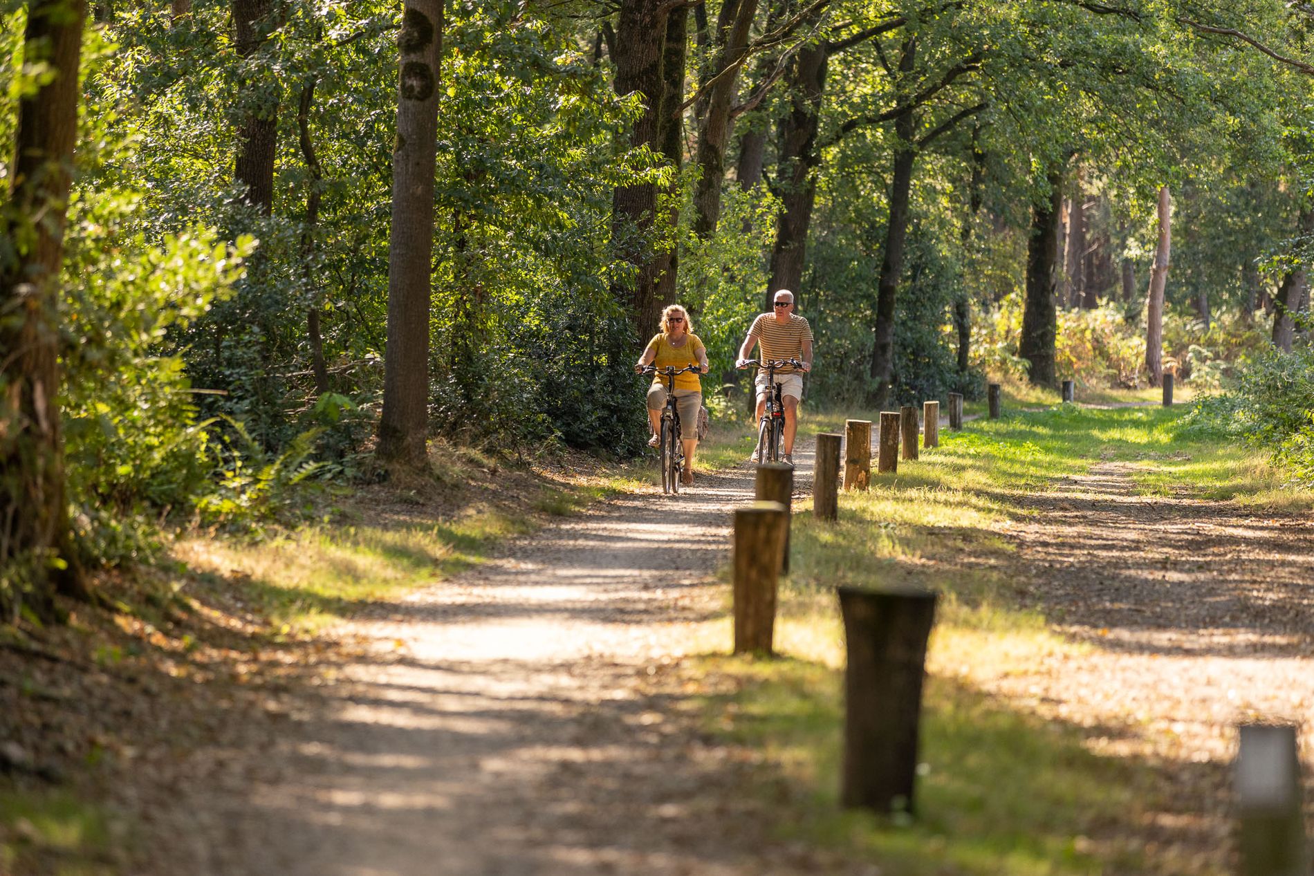 Fietsers in een groene omgeving.