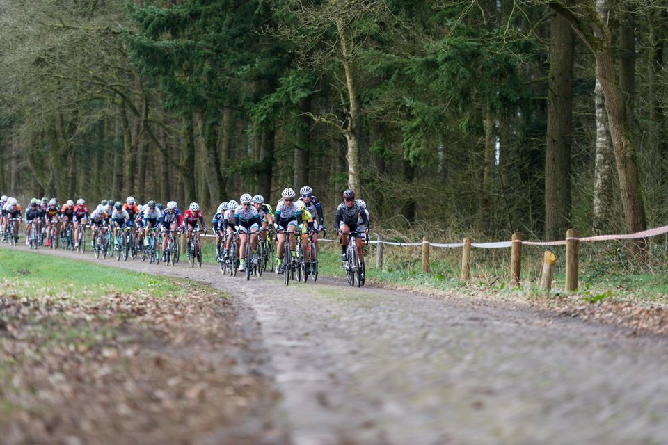 Een peloton wielrenners fietst over de kasseien in Drenthe.