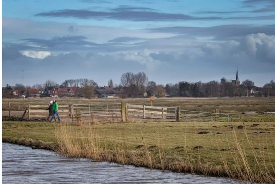 Het mooie polderland in de Hoeksche Waard