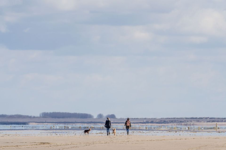 Strand wandelen met hond