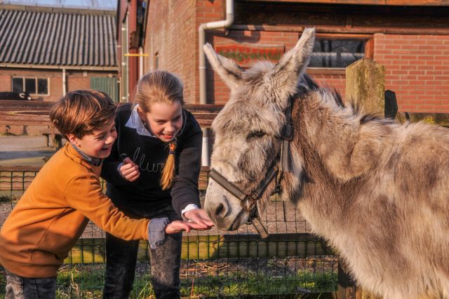 Boerderij in Kamerik, Groene Hart, waar twee kinderen buiten een ezel voeren bij de dierenweide tussen de boerderijgebouwen.
