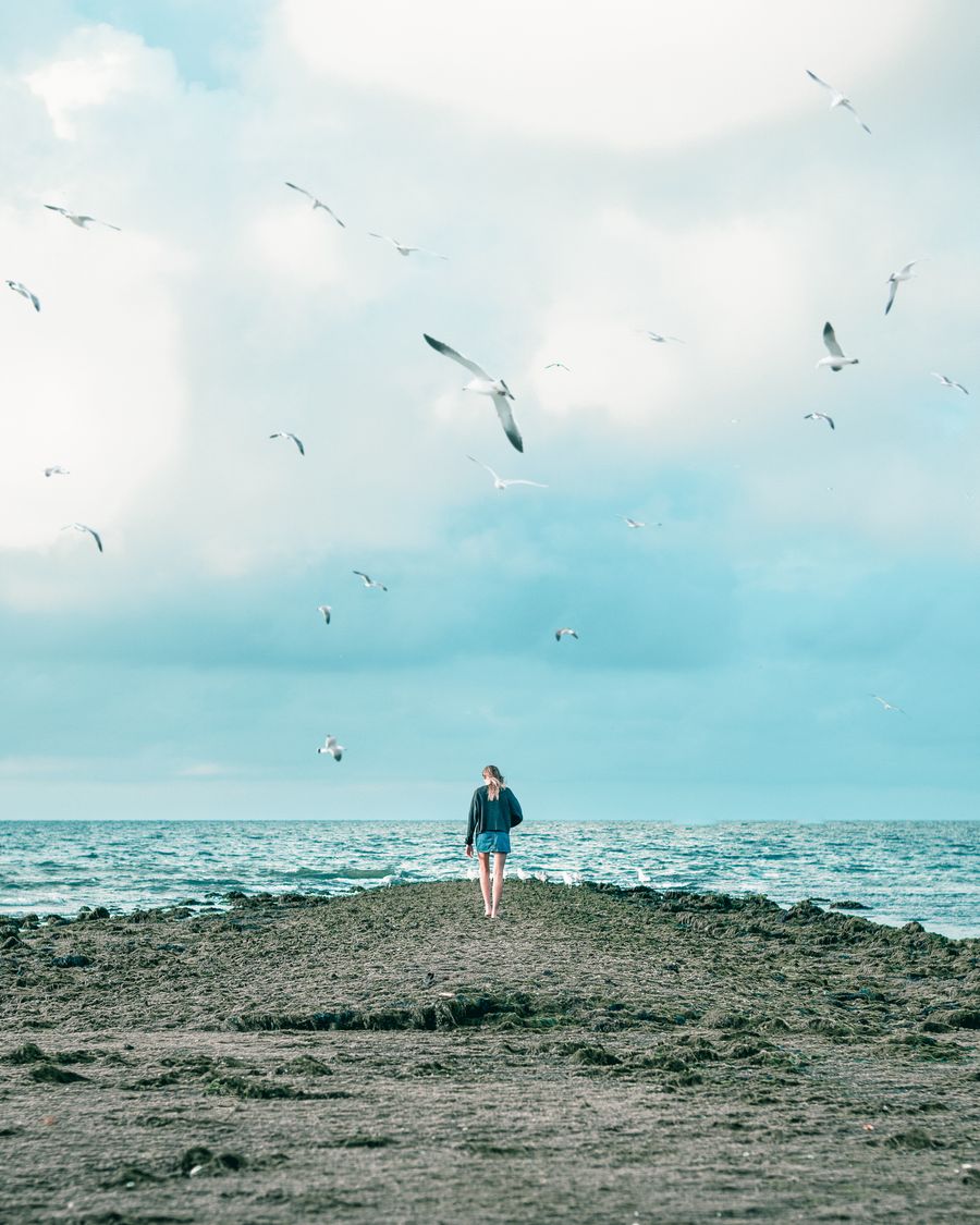 Meeuwen strandwandeling rust mindfullness noordzee