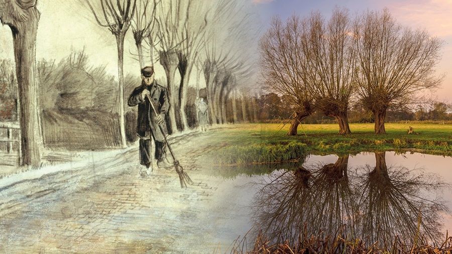 Van Gogh Nationaal Park in Noord-Brabant, een uniek landschap geïnspireerd door de werken en wandelingen van Vincent van Gogh, met aandacht voor natuurbehoud, duurzaamheid en cultuurhistorie
