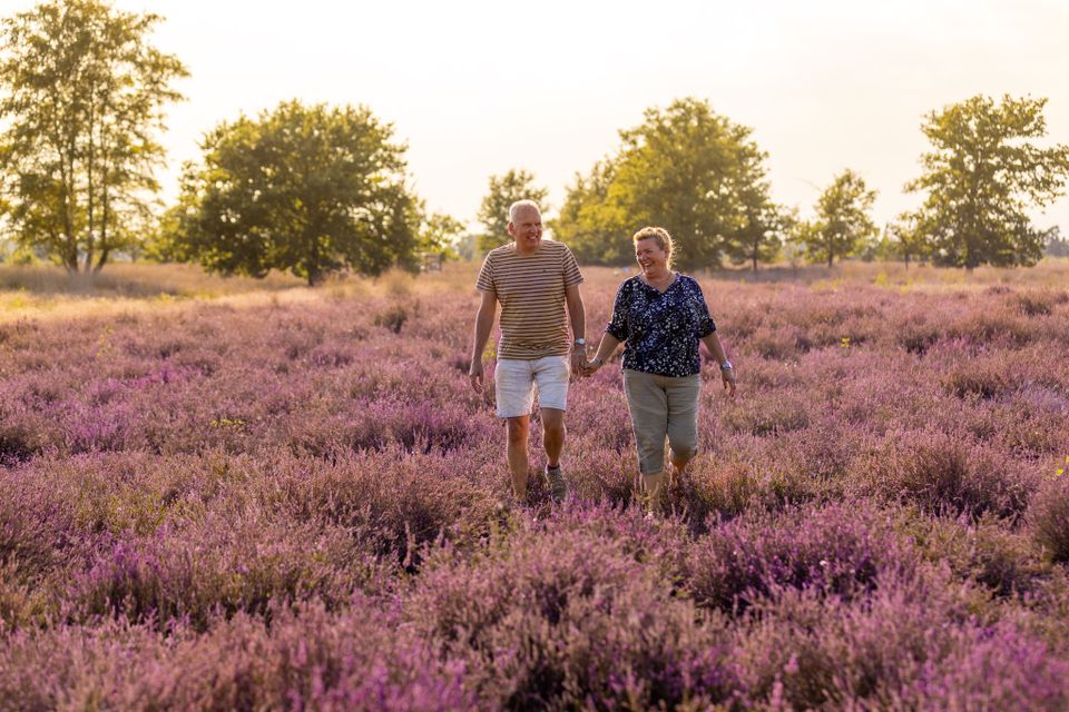 Wandelen over de Strabrechtse Heide