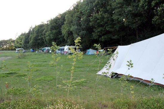 Camping Tikvah photo 5