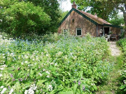 Daglonershuisje De Kievit in Harmelen, Groene Hart, historisch huisje omringd door een groene tuin met bloeiende wilde planten en bomen.