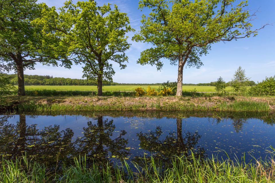 Ruimzicht over Vijfde wijk zomer 2022-2