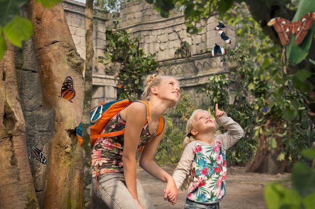 Een meisje wijst haar zus een paar vlinders aan in de vlindertuin.