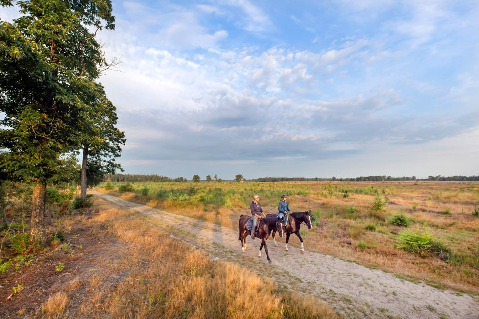 2 ruiters door het Drents-Friese Wold