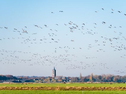 Uitzicht op Eemnes