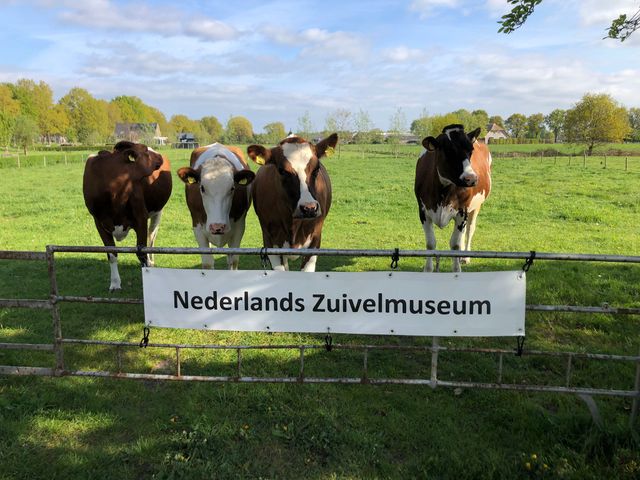 Nederlands Zuivelmuseum