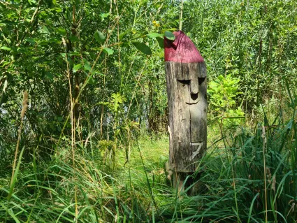 Kabouterpad Havelte