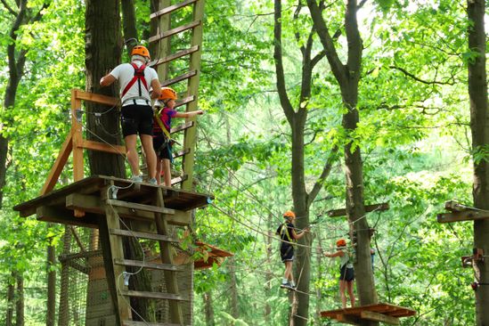 Rocks ’n Rivers Treetop Adventure Park | VisitBrabant